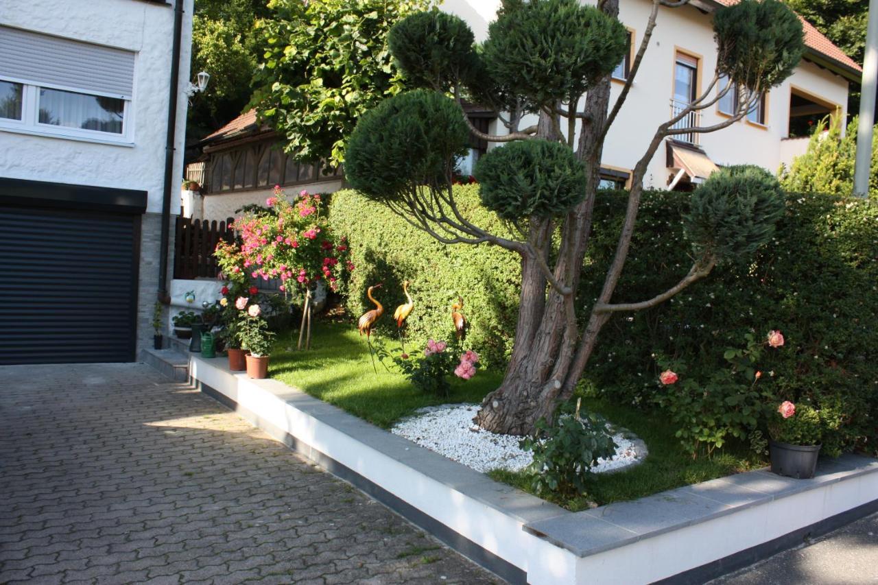 Ferienwohnung Im Gruenen 괴스바인슈타인 외부 사진
