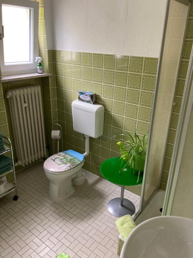 Ferienwohnung Im Gruenen 괴스바인슈타인 외부 사진