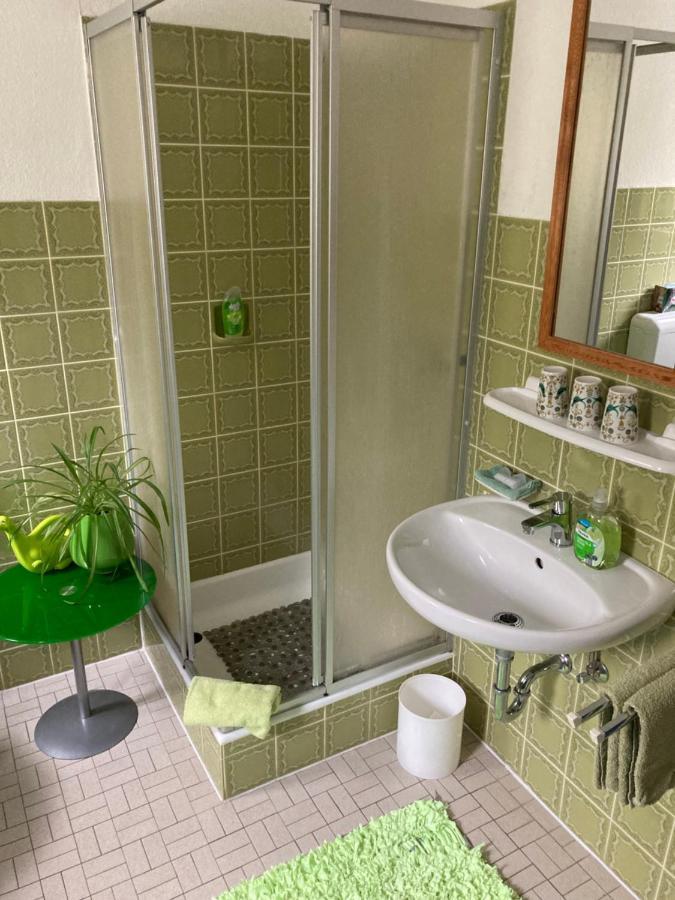 Ferienwohnung Im Gruenen 괴스바인슈타인 외부 사진